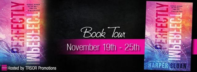perfectly imperfect book tour banner
